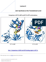 Lecture - 6-Regulation of Protein Synthesis at The Translational Level
