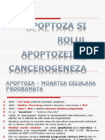 Curs Apoptoza