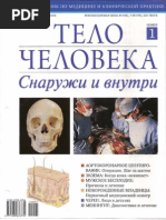 Тело человека N01