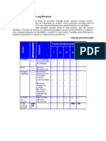 Fisa Lucru-evaluarea Postului Dir RU