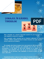 Şomajul În Rândul Tinerilor