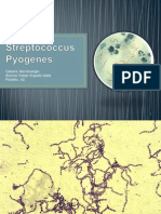 Streptococcus Pyogenes EVElyn Ergueta Valda