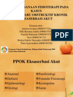 PPOK