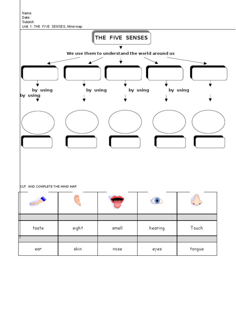 Five Senses Mind Map | PDF