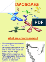 Chromosomes