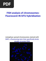 FISH Analysis of Chromosomes and DNA Recombination