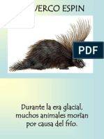 El Puerco Espin