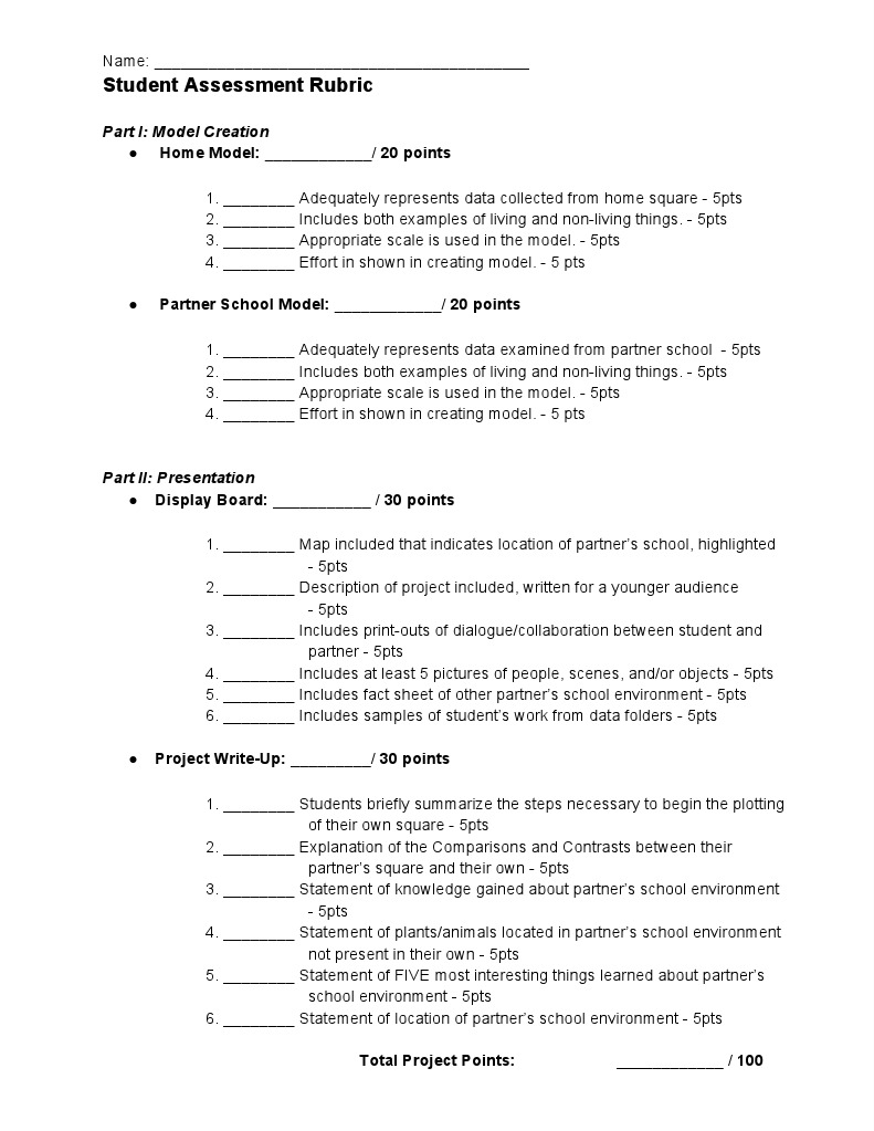 Student Assessment Rubric for Models | PDF