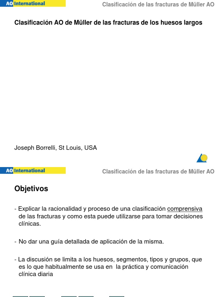 Clasificacion Ao Fracturas Hueso Taxonomia Biologia