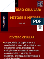 Mitose e Meiose