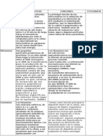 Ángela Fdez y Jose Raul Velasco. Trabajo Biología.