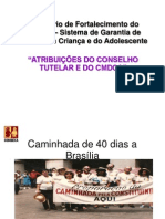 Apresentação Atribuições CT e CMDCA - Conselheira Ana Cristina