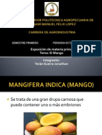 Exposicion Mango