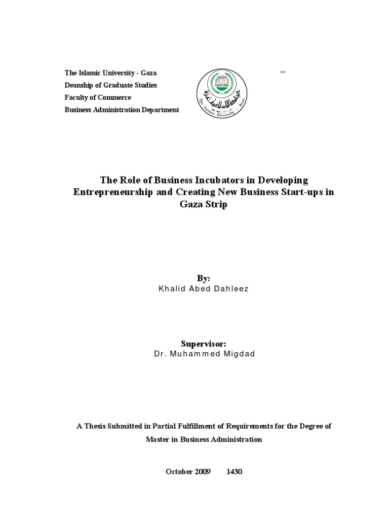 The Role Of Business Incubators In Developing Pdf Business