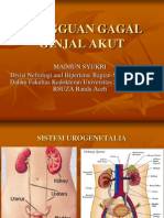 ACUT RENAL FAILURE Prodia