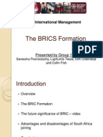 54717073 BRICS Presentation Ppt 3 2