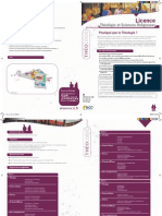 Factheo Licencetheologie 2010