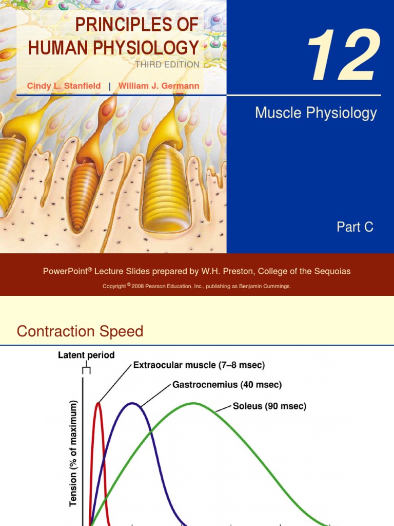 Muscle Physiology | Smooth Muscle Tissue | Muscle Contraction