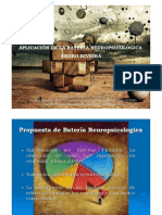 Taller Aplicacion Bateria Neuropsicoloxica Vigo Riveira