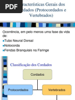Protocordados e Vertebrados