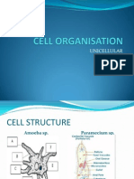 Cell Organisation