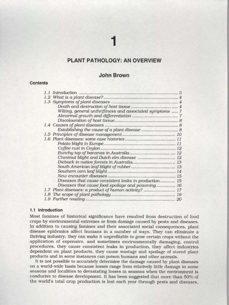 01 Plant Path An Overview (JFB) | PDF | Plant Pathology | Maize