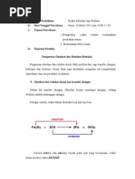 Download Laporan praktikum kimia dasar Redoks by YiyinSetiaRanta SN130148009 doc pdf