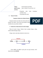 Laporan Praktikum Kimia Dasar (Redoks)