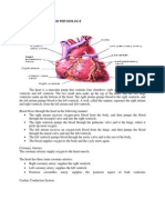 Anatomy and Physiology