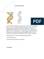 Resumo de Genética e Biologia Molecular