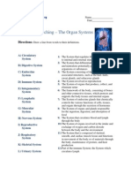 Advanced Matching - Human Body Organ Systems (1)