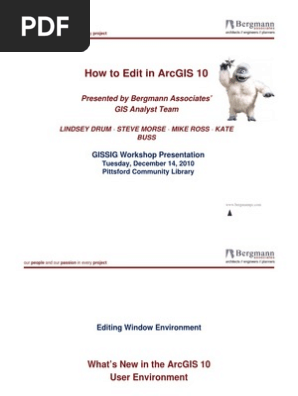 How to Edit in ArcGIS 10