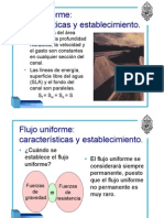 51083631-flujo-20uniforme-1.pdf