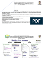 Guia 5 Semana 10 Grado 8 Ciencias Naturales