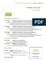 Curriculum Vitae Modelo1 Verde