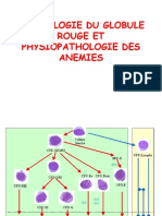 Physiologie Du Globule Rouge Et Physiopathologie Des Anémies