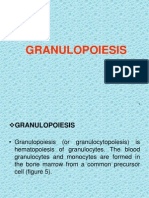 Lecture-Granulopoiesis.pptx
