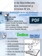 Evaluación de Las Vias Intrínseca Extrínseca y Común