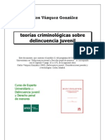 teorias-criminologicas.pdf