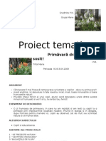 proiect tematic