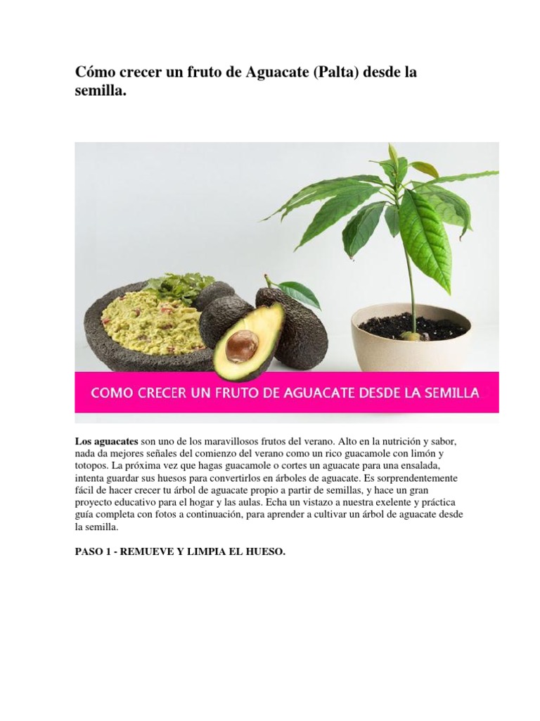 Cuánto Tiempo Tarda En Crecer Un árbol De Yaca