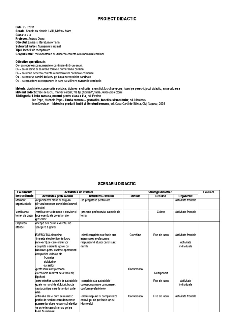 Proiect Didactic V