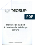 Tecsup-Procesos de Carbon Activado