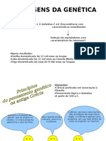 3X1 - As Origens Da Genética