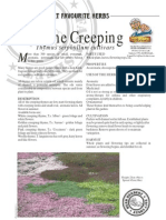 Thyme Creeping: Thymus Serphyllum Cultivars
