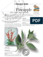 Sage Pineapple: ERB Erbert Favourite Herbs