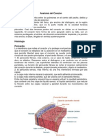 Aparato Cardiovascular