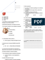 Prueba Iii Trimestre Cta4º