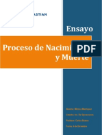 Proceso de Nacimiento y Muerte