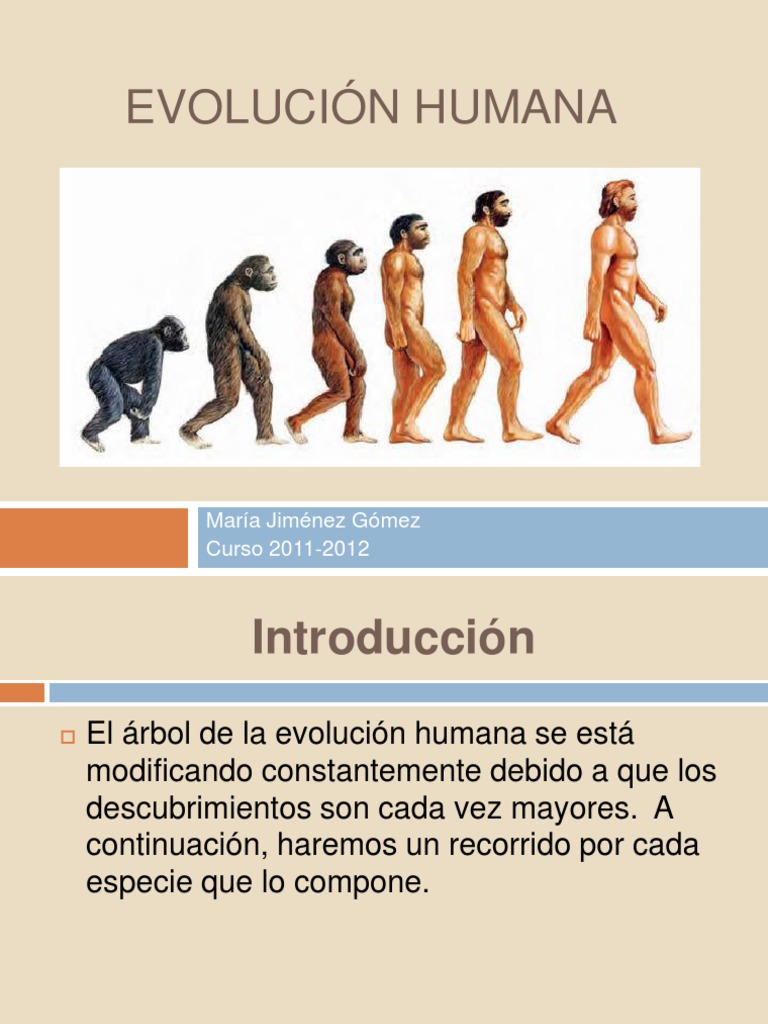 Árbol de la Evolución Humana | PDF | Homo | Evolución humana
